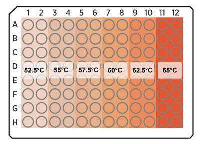 PCR-temperature-zones
