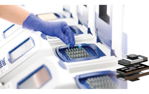 Custom TEAs PCR Molecular Diagnostics